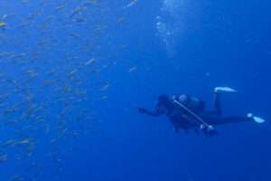 Read more about the article 伊東