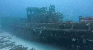 Read more about the article 透明度30メートルで見る沈船