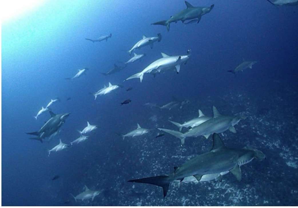 You are currently viewing こんばんは、来年のツアーの日程変更があります。