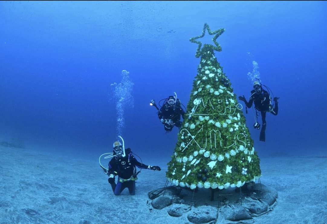 You are currently viewing 冬の楽しみ方！