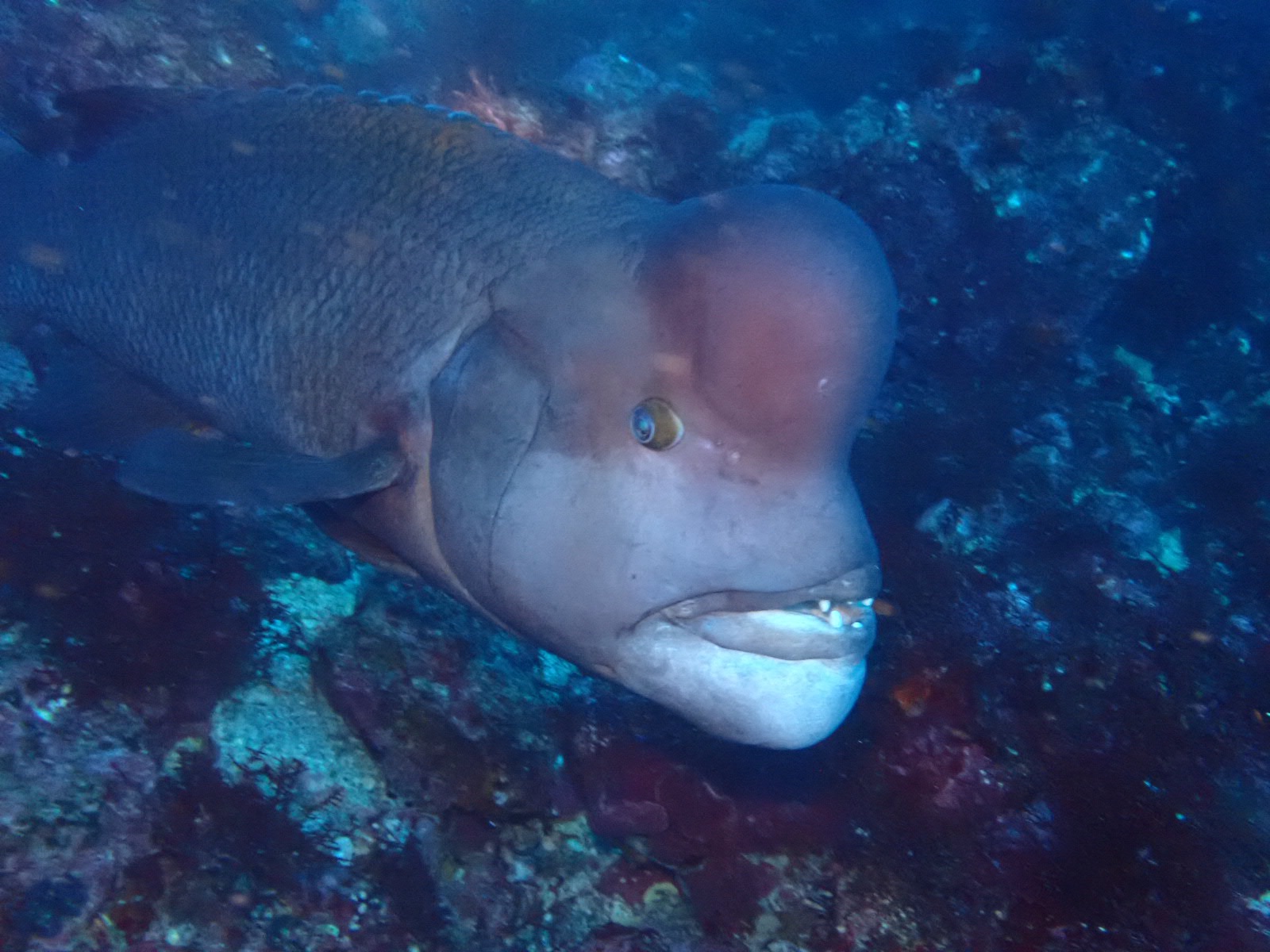 You are currently viewing 海洋公園続き