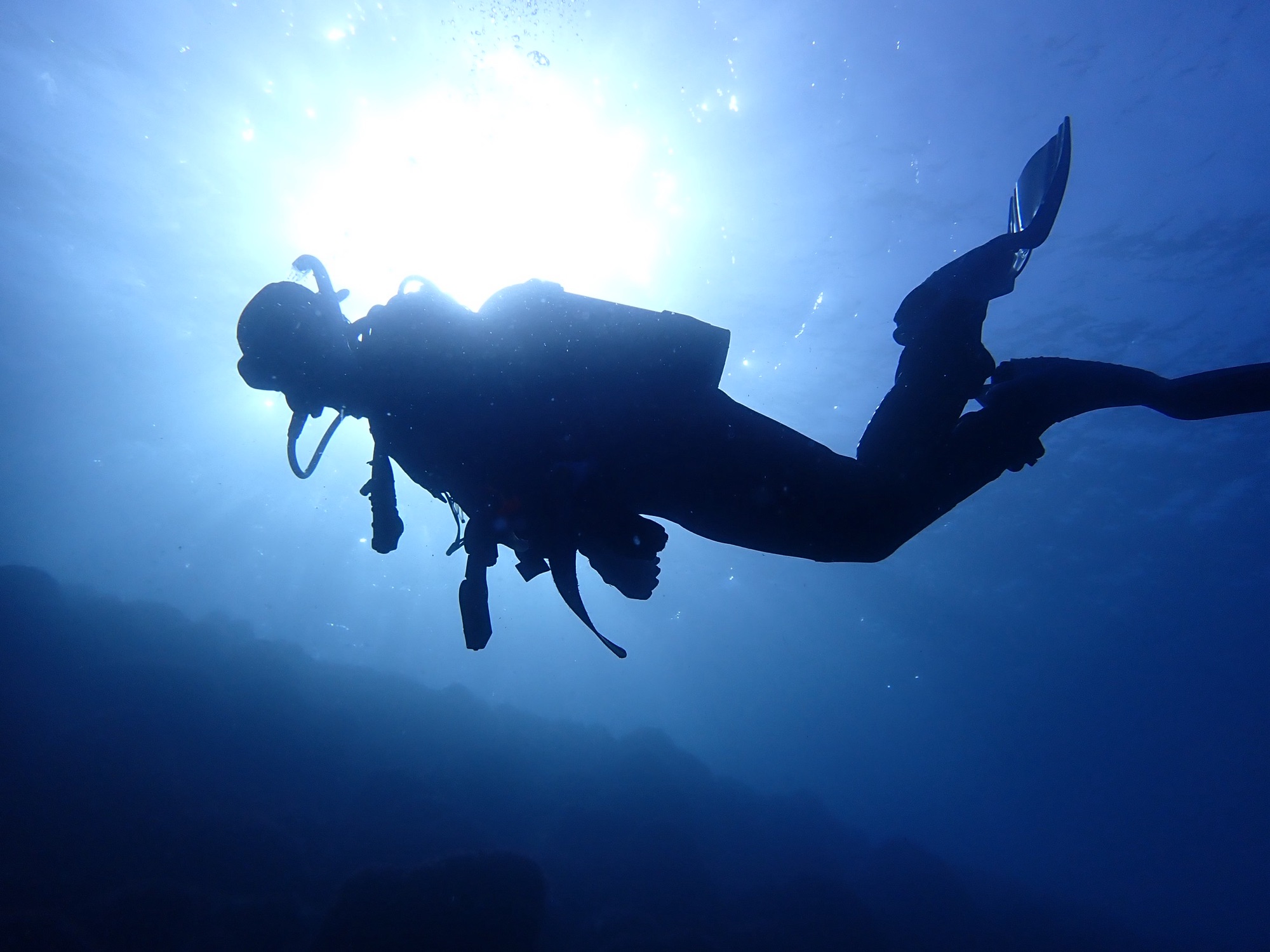 You are currently viewing ぎょえ〜い！井田ダイブ