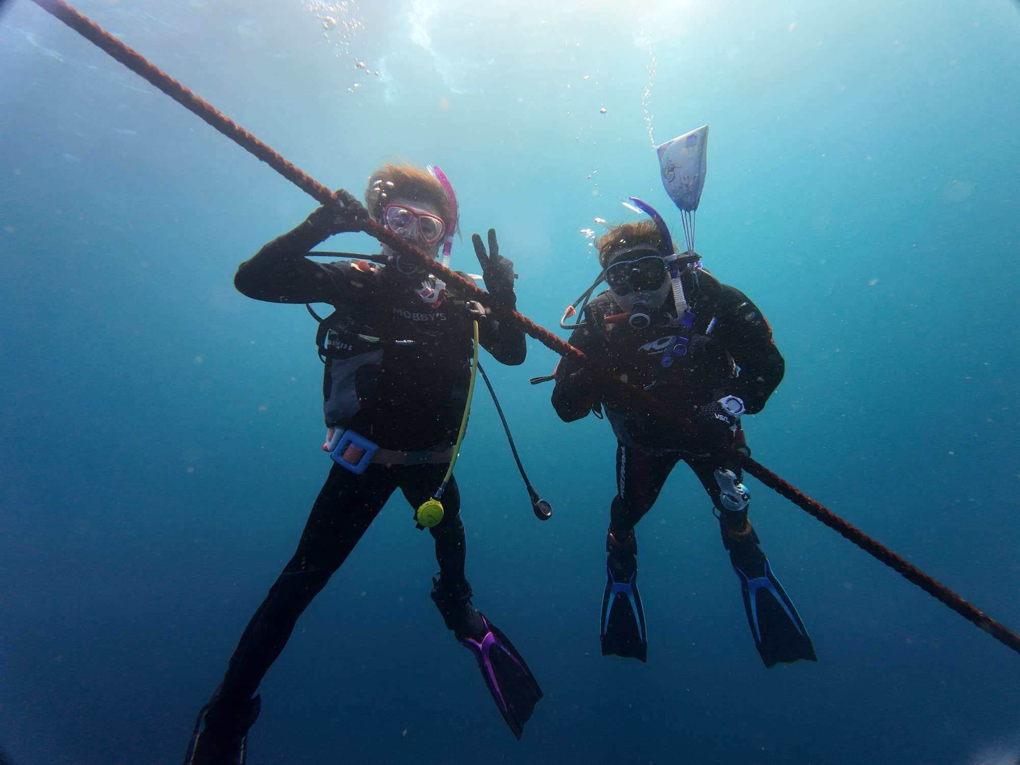 Read more about the article 1日目は菖蒲沢へ！