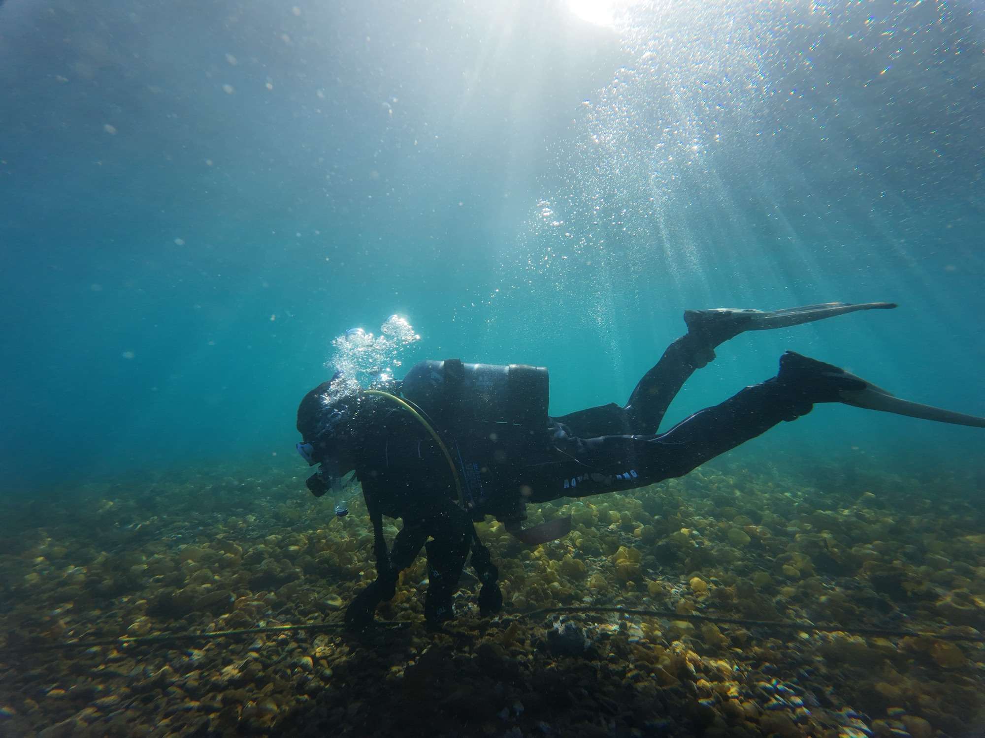 You are currently viewing 寒さに負けずオープンウォーター講習！