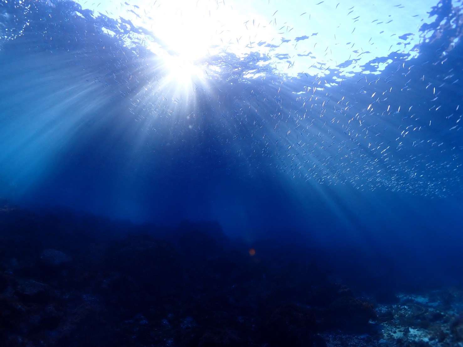 Read more about the article 太陽キラキラ