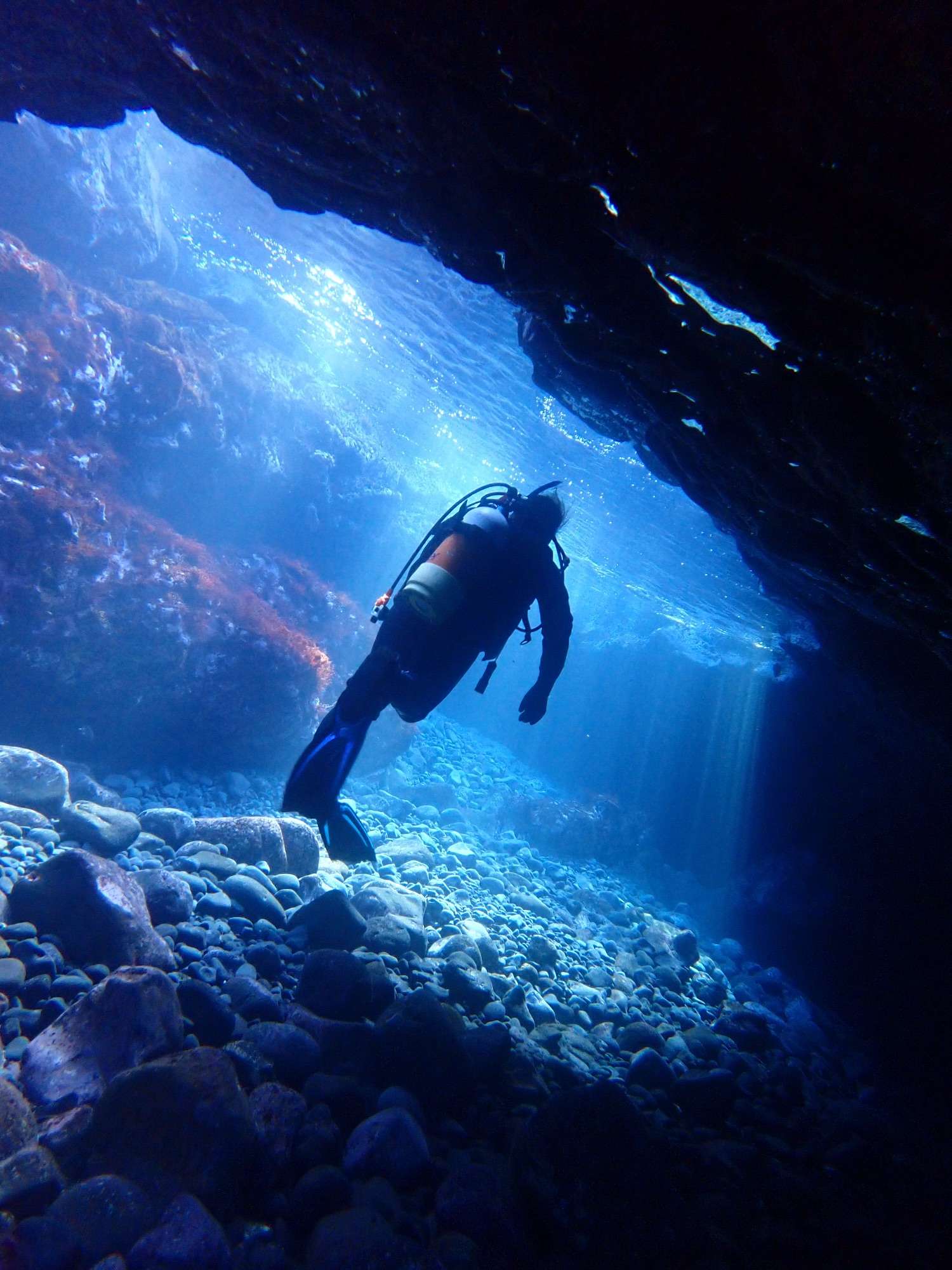 Read more about the article 透明度20メートルの富戸へ！