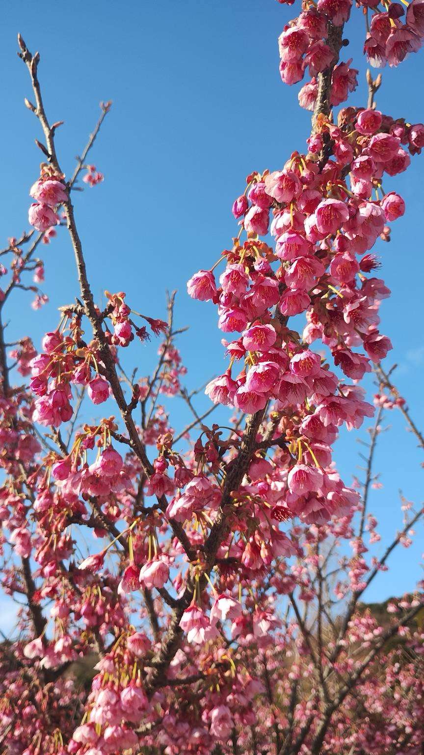 You are currently viewing 透明度が絶好調🙂