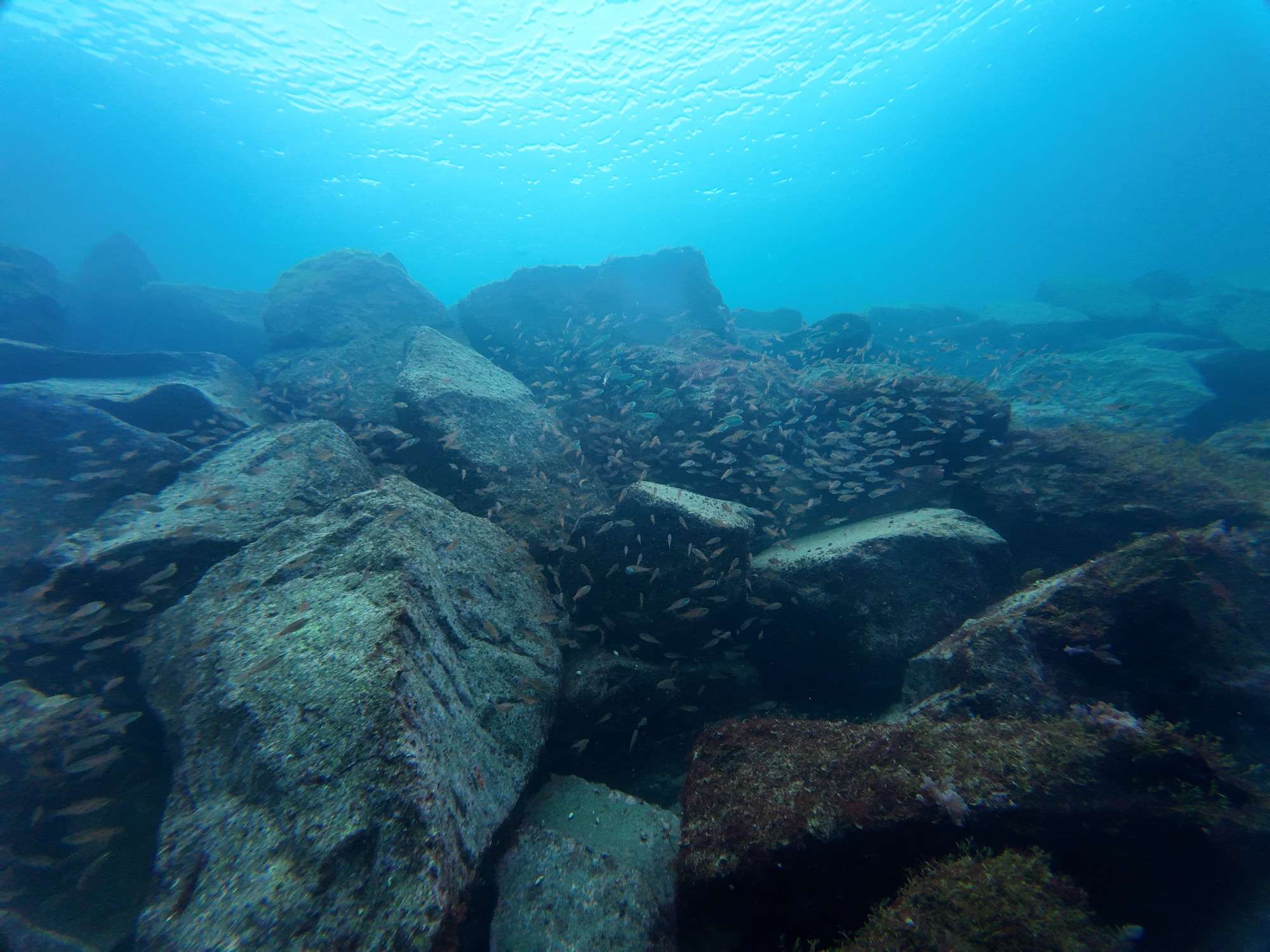 You are currently viewing さぁ今日から！