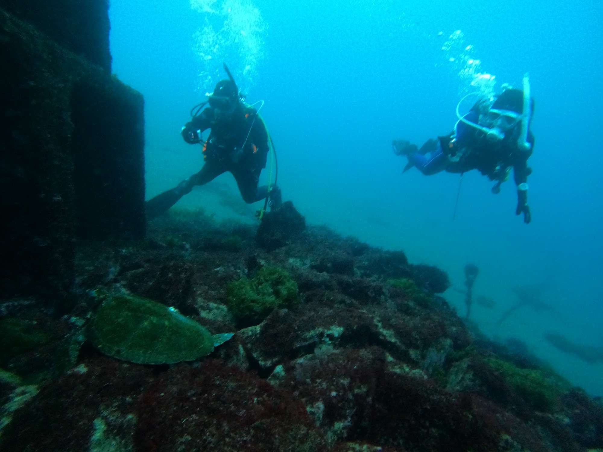 Read more about the article ニーナチームのご報告です♡