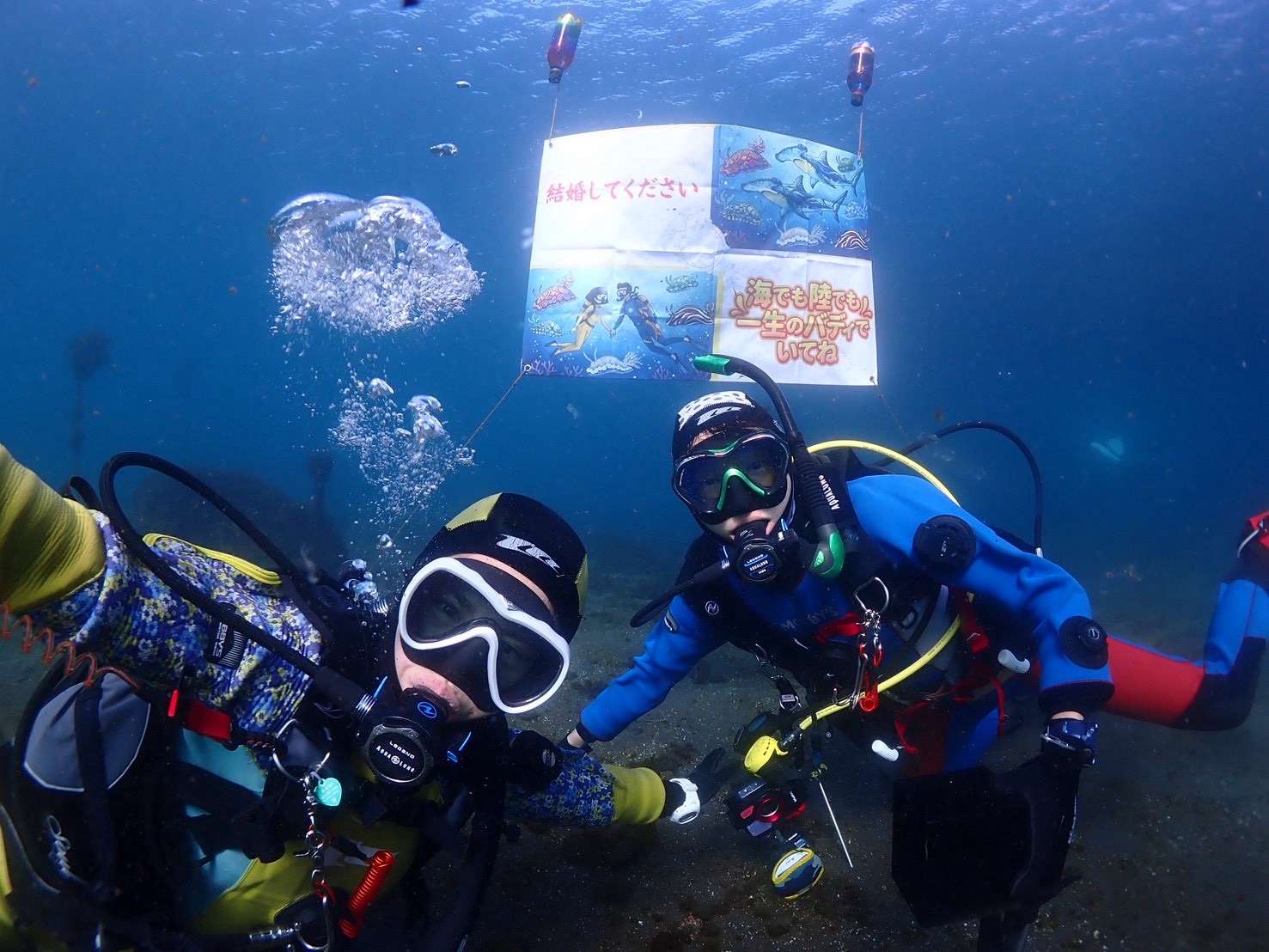 Read more about the article アバロ カップル