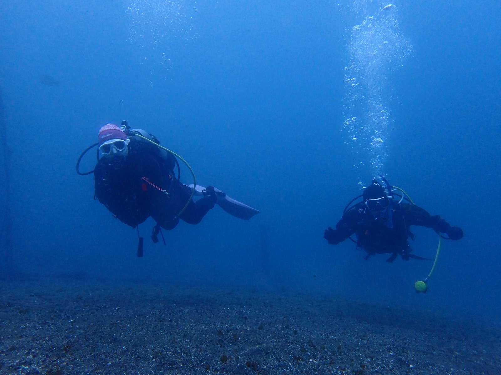 You are currently viewing アドバンスで生物も沢山🪼
