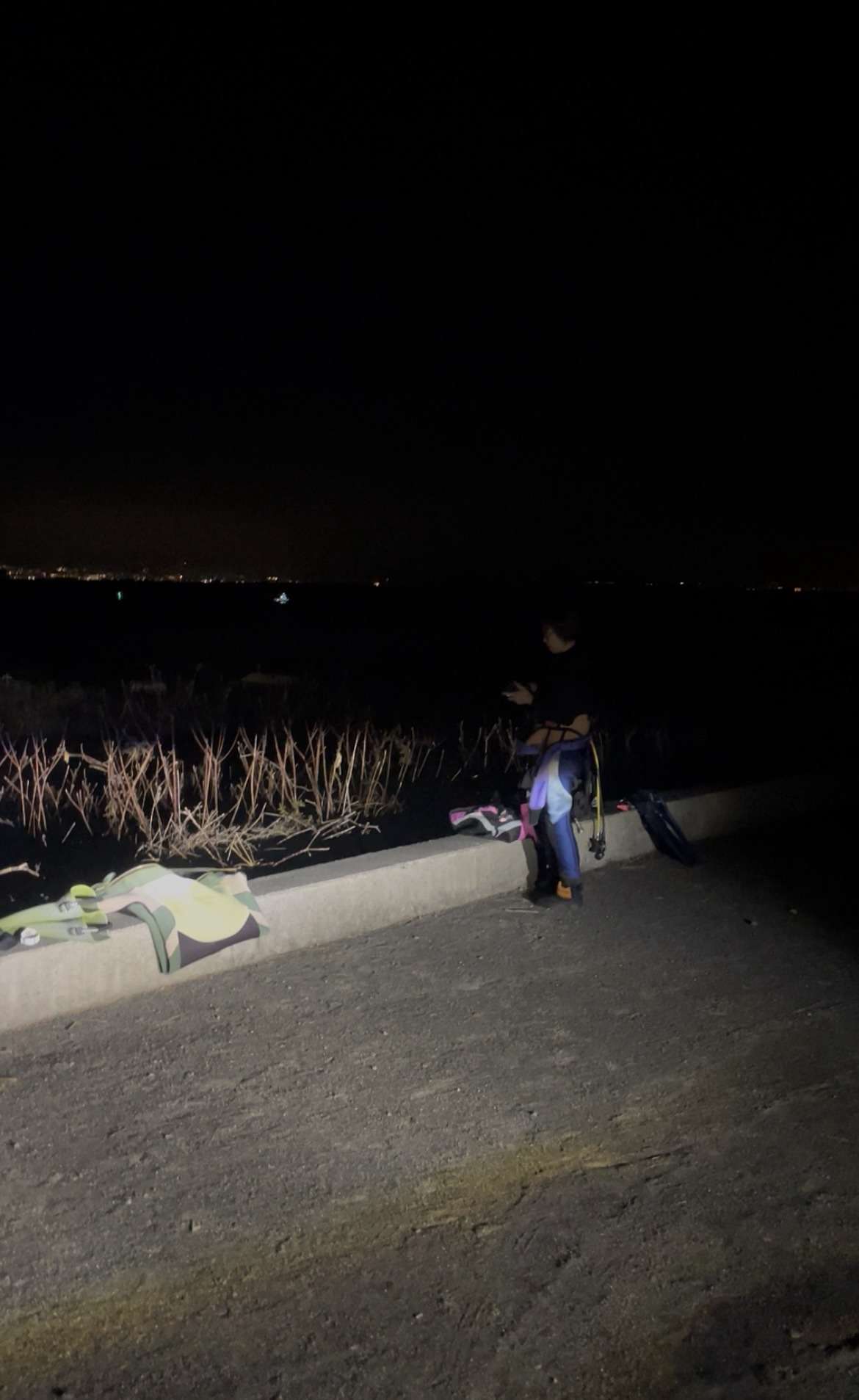 Read more about the article 三保ナイトダイビング行ってきました😄