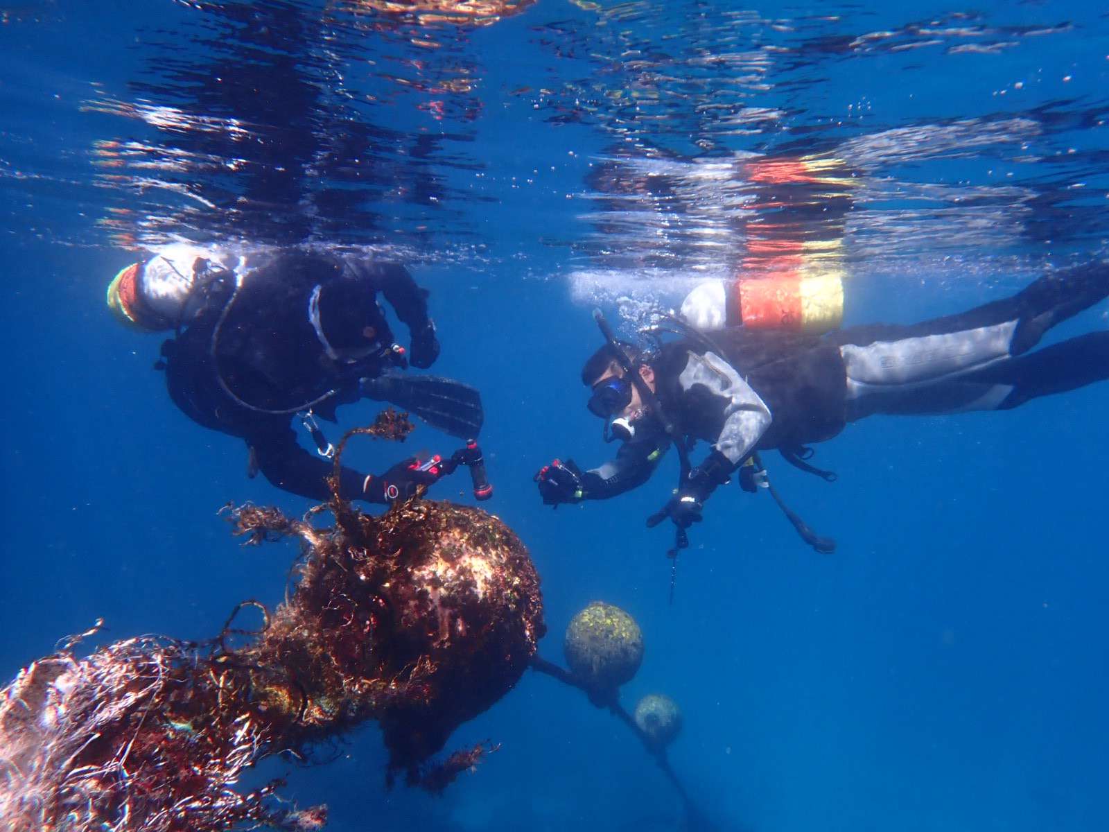 Read more about the article 富戸へ GO