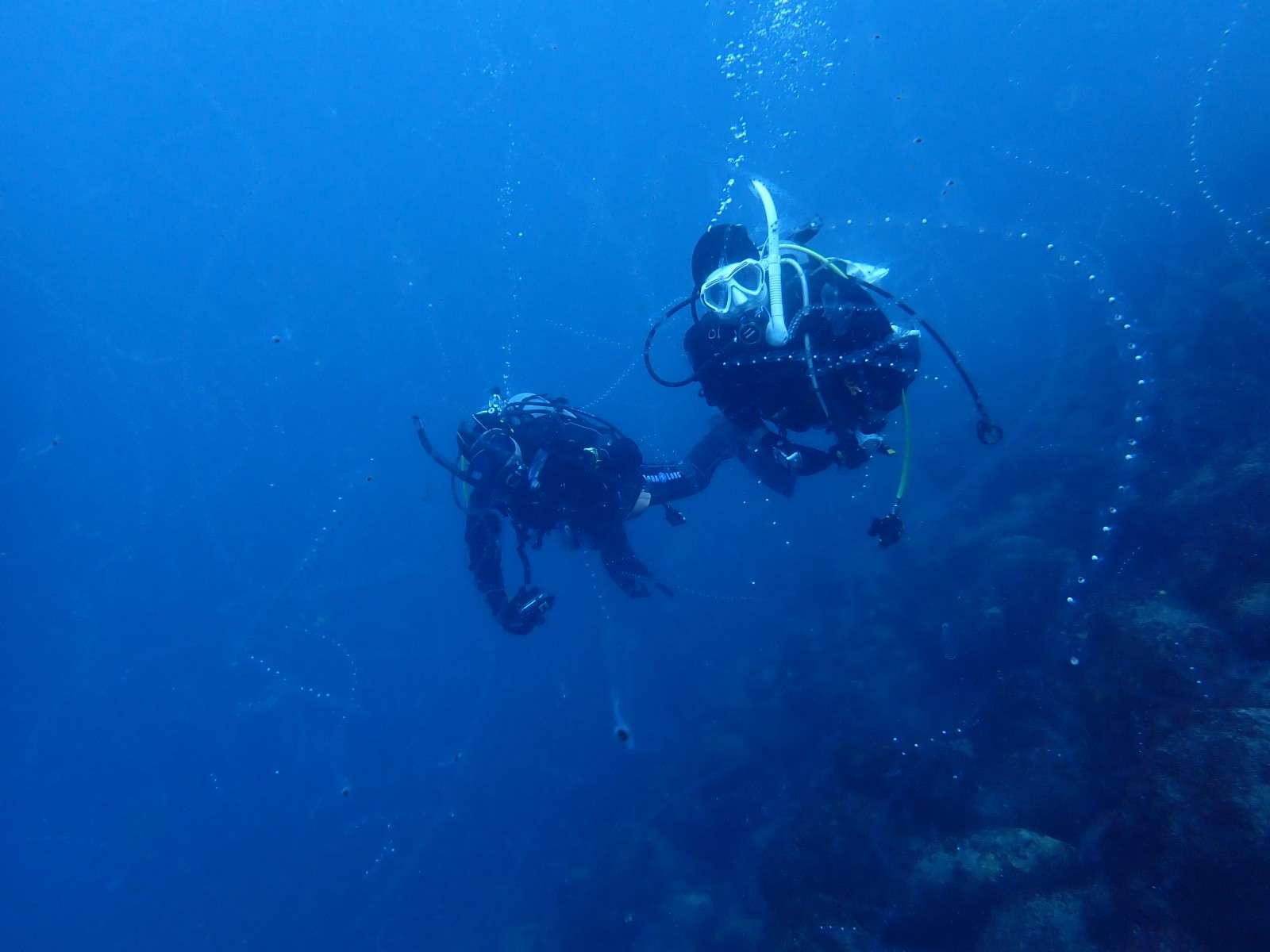 Read more about the article 冬の海を満喫