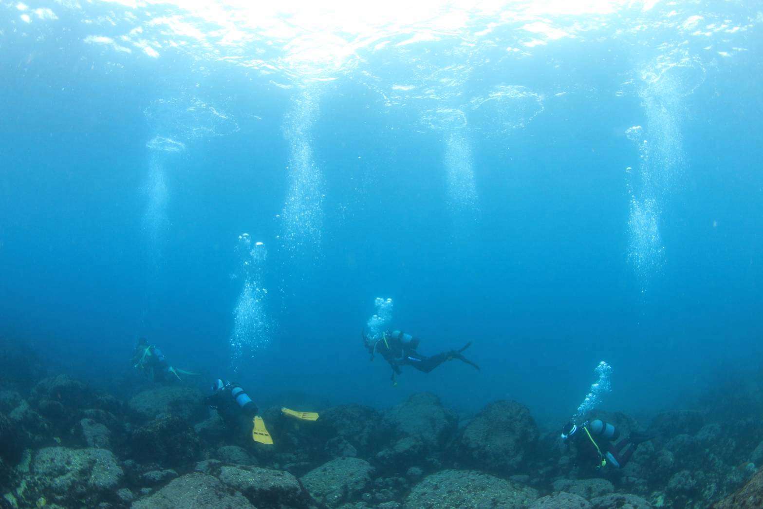 Read more about the article 相変わらずの青‼️