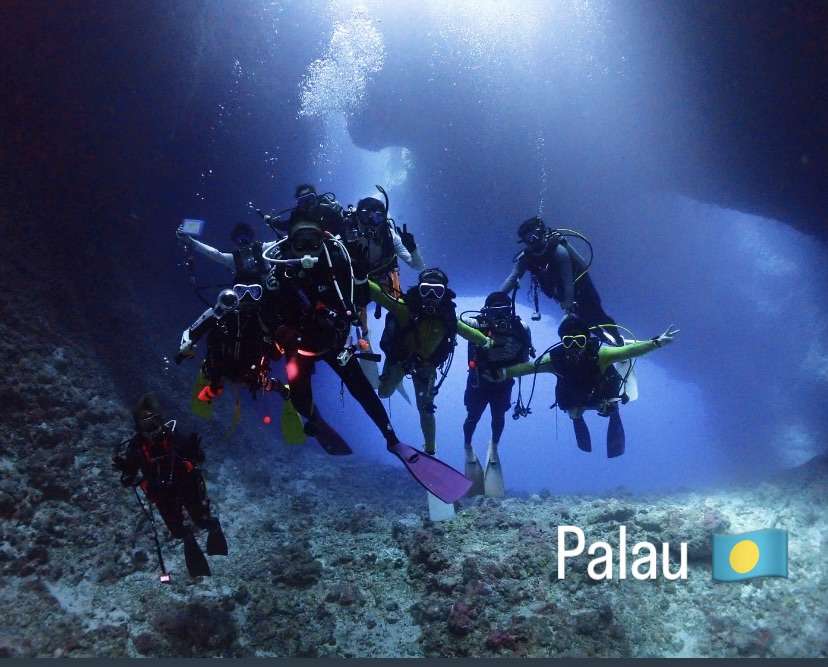 Read more about the article パラオ🇵🇼ツアー第2弾‼️