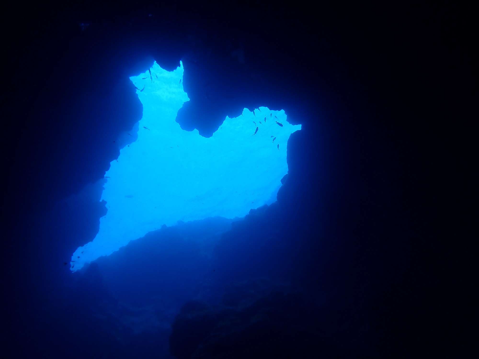 Read more about the article あの有名なアントニオ・ガウディへ！！