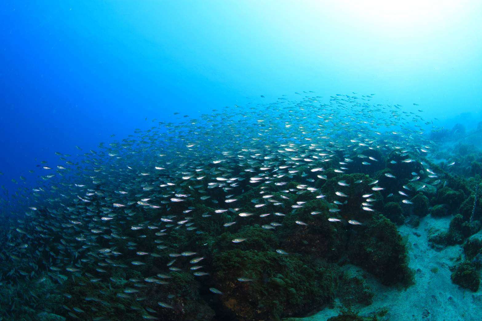 You are currently viewing 真っ青な海！！