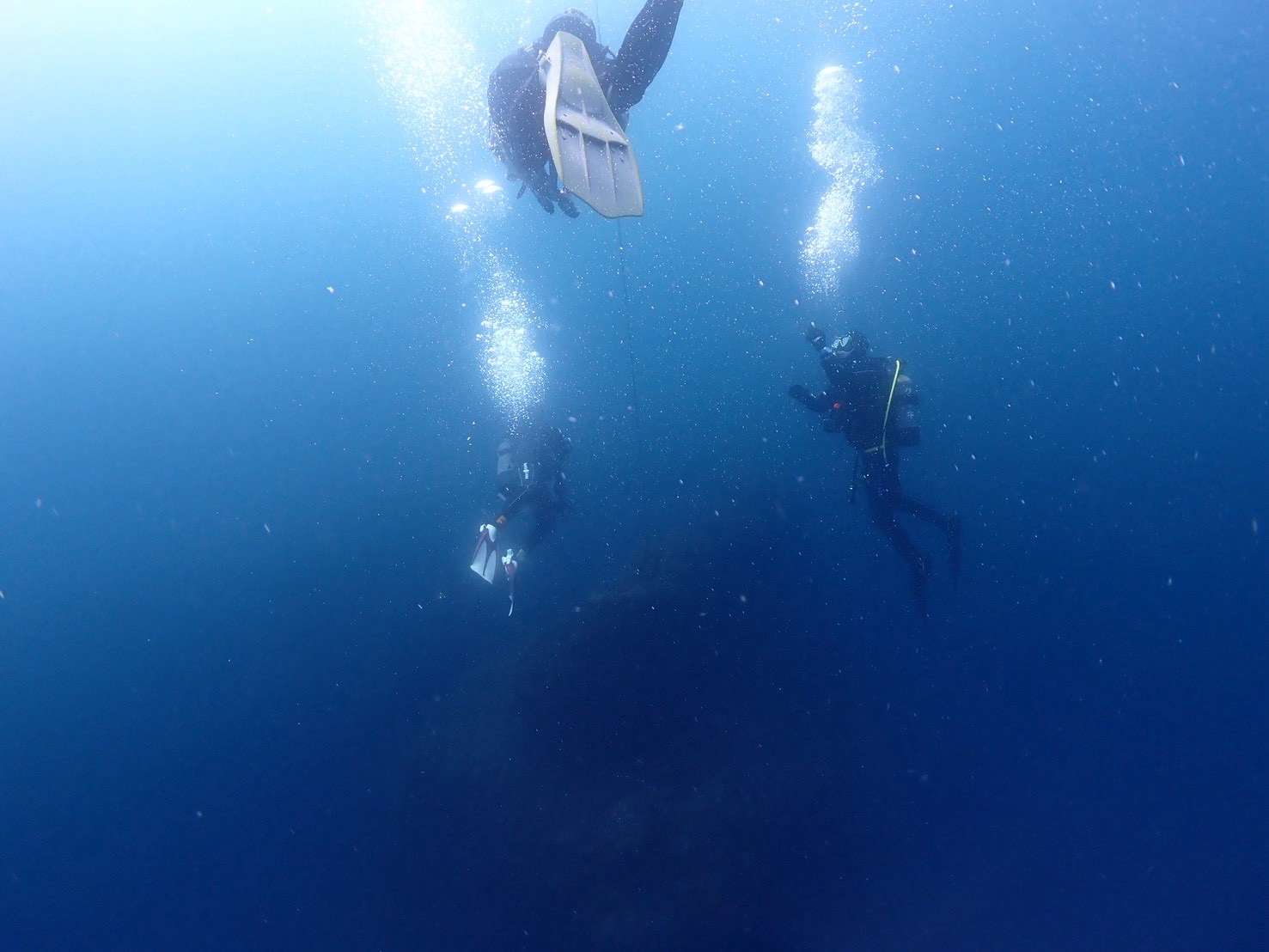 You are currently viewing ウミウシ三昧