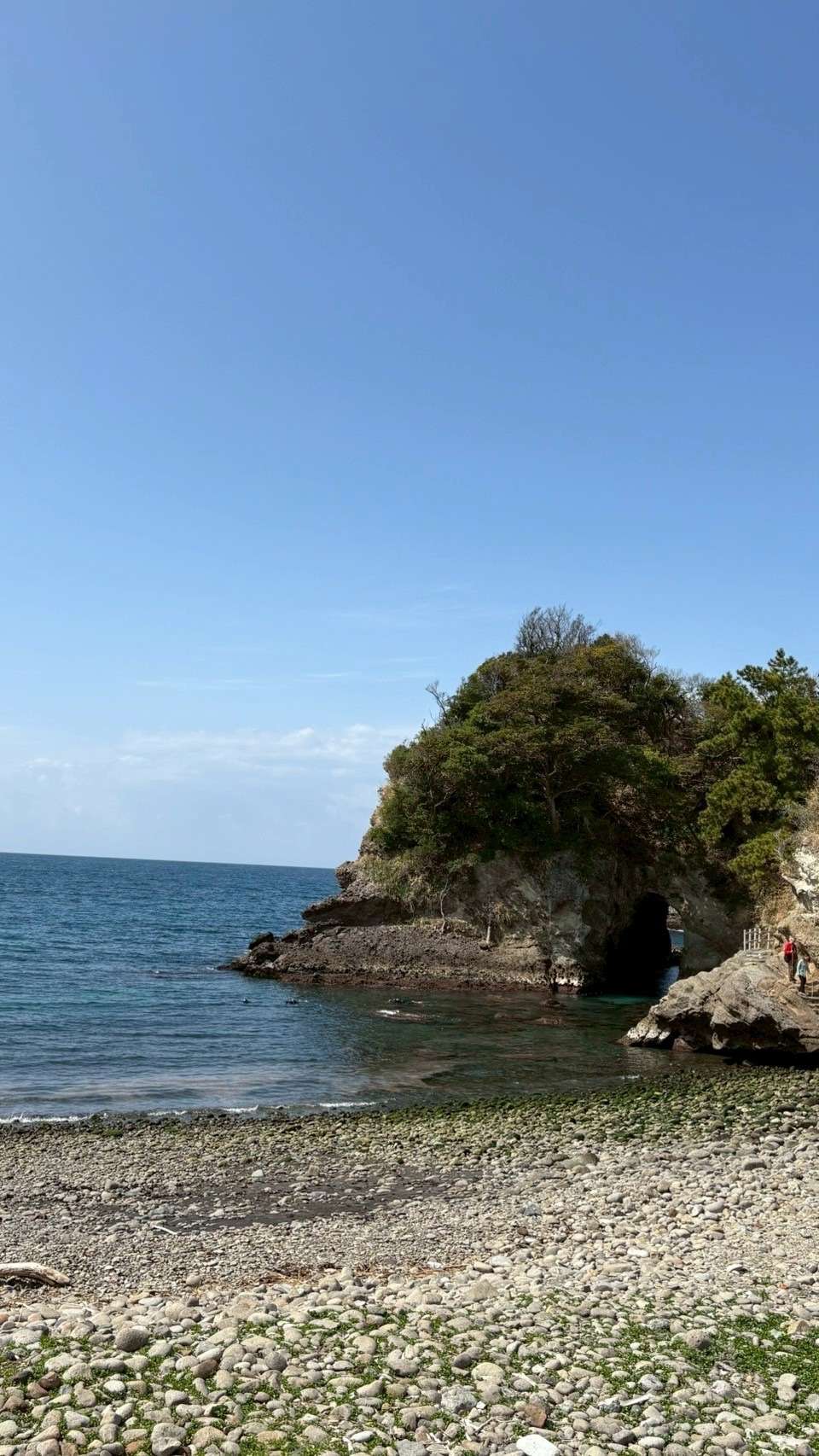 You are currently viewing 2日連続の浮島