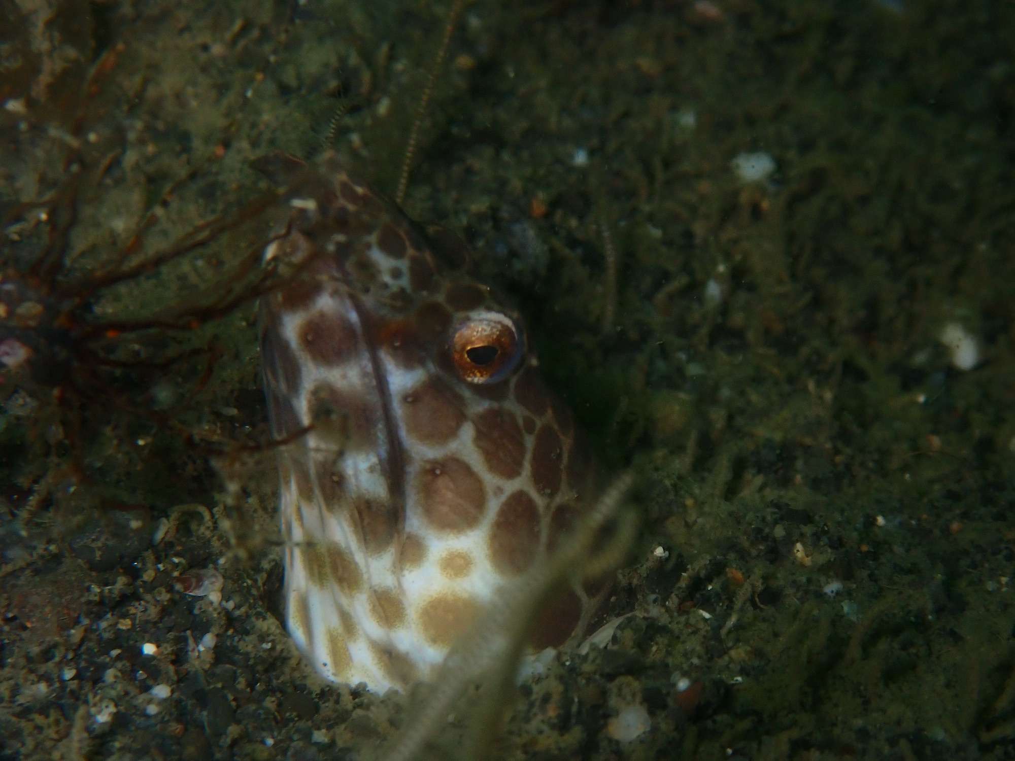 Read more about the article 三保にて特訓！